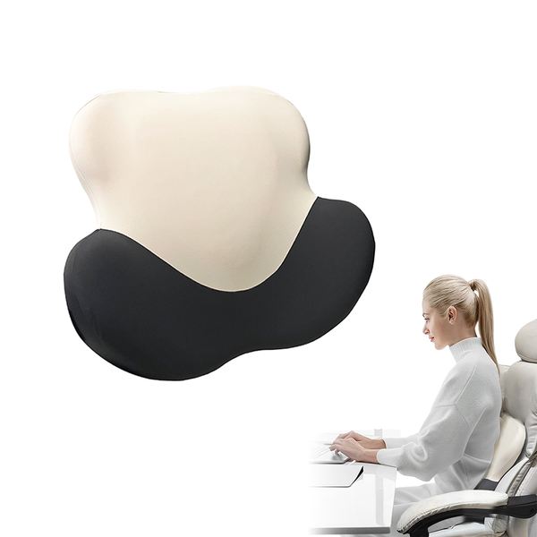 Back & Lumbar Support Cushion